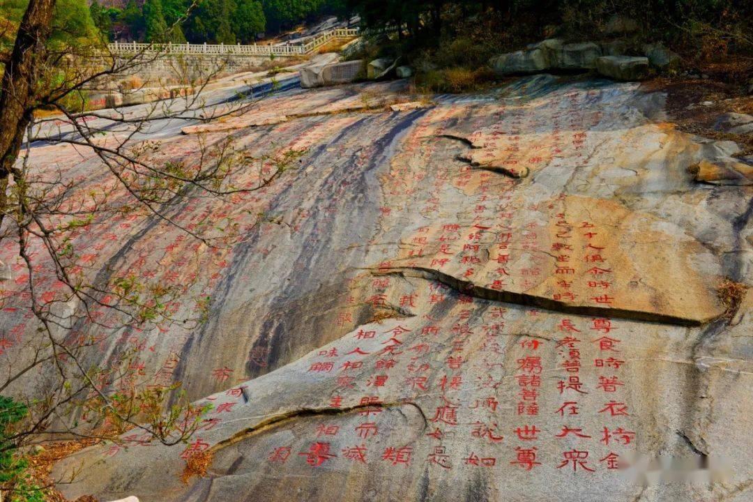 仔猪拉稀怎么办10斤如何防脱水游戏画面